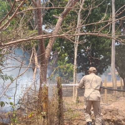 Bombeiros combatem incêndio em vegetação em Santo Antônio do Leverger - Notícias - Mato Grosso digital