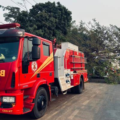 Bombeiros retiram árvore que caiu sobre caminhão em avenida - Notícias - Mato Grosso digital