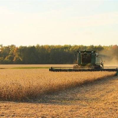 Clima afeta produção de soja no Brasil - Notícias - Mato Grosso digital