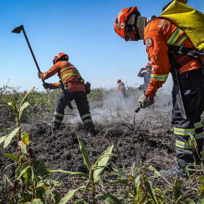 Corpo de Bombeiros divulga resultado de recursos contra testes de aptidão para seletivo de brigadistas - Notícias - Mato Grosso digital