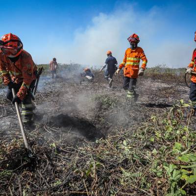 Corpo de Bombeiros divulga resultado e convoca aprovados no seletivo para brigadistas - Notícias - Mato Grosso digital