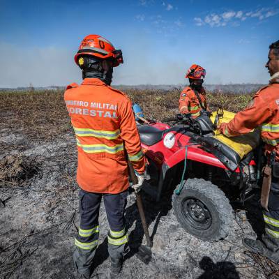 Corpo de Bombeiros divulga resultado preliminar dos testes de aptidão para seletivo de brigadistas - Notícias - Mato Grosso digital