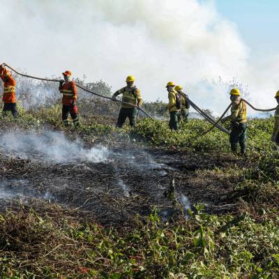 Corpo de Bombeiros extingue quatro incêndios florestais e combate outros 38 no Estado - Notícias - Mato Grosso digital