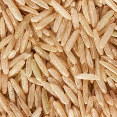 Leilões e câmbio influenciam mercado de arroz - Notícias - Mato Grosso digital