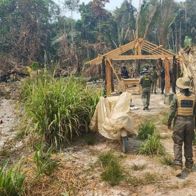 Operação conjunta combate crimes ambientais na Reserva de Guariba em Colniza - Notícias - Mato Grosso digital